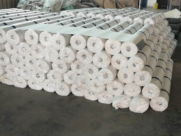 Thermoplastic polyolefin (TPO) waterproofing membrane