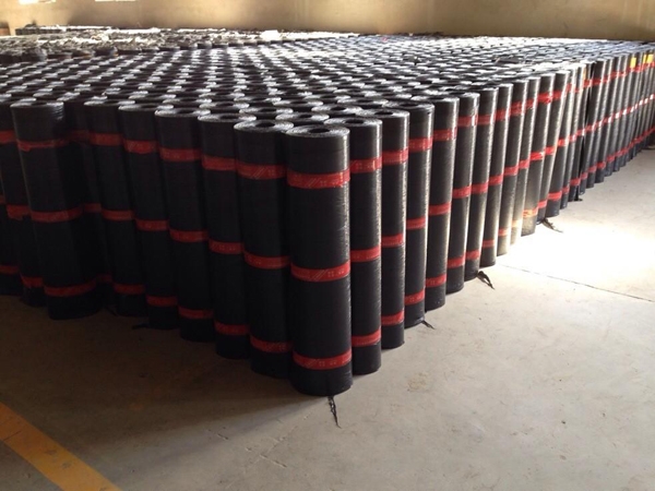 Plastic modified asphalt waterproofing membrane (APP)